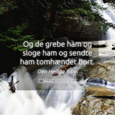 Picture 05 - Markus 12:3 DA1871 - Og de grebe ham og sloge ham og sendte ham - Bible Verse Picture