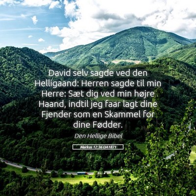 Picture 05 - Markus 12:36 DA1871 - David selv sagde ved den Helligaand: Herren sagde - Bible Verse Picture