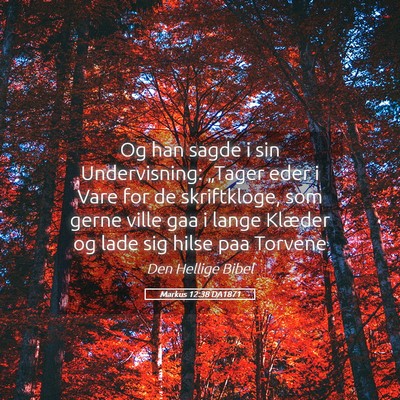 Picture 05 - Markus 12:38 DA1871 - Og han sagde i sin Undervisning: „Tager eder i - Bible Verse Picture