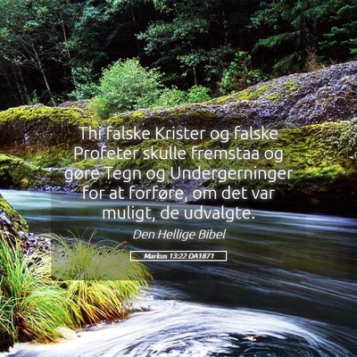 Picture 05 - Markus 13:22 DA1871 - Thi falske Krister og falske Profeter skulle - Bible Verse Picture