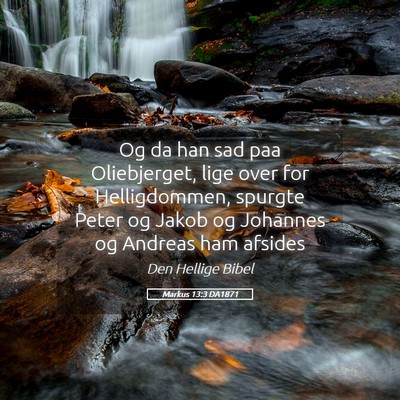 Picture 05 - Markus 13:3 DA1871 - Og da han sad paa Oliebjerget, lige over for - Bible Verse Picture