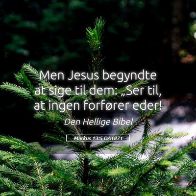 Picture 05 - Markus 13:5 DA1871 - Men Jesus begyndte at sige til dem: „Ser til, - Bible Verse Picture