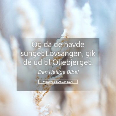 Picture 05 - Markus 14:26 DA1871 - Og da de havde sunget Lovsangen, gik de ud til - Bible Verse Picture