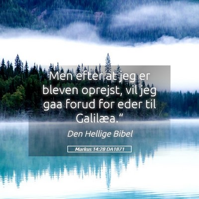 Picture 05 - Markus 14:28 DA1871 - Men efter at jeg er bleven oprejst, vil jeg gaa - Bible Verse Picture