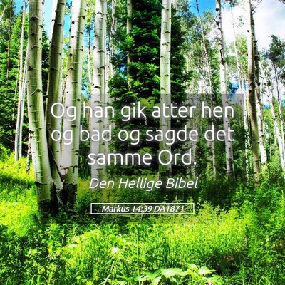 Picture 05 - Markus 14:39 DA1871 - Og han gik atter hen og bad og sagde det samme - Bible Verse Picture