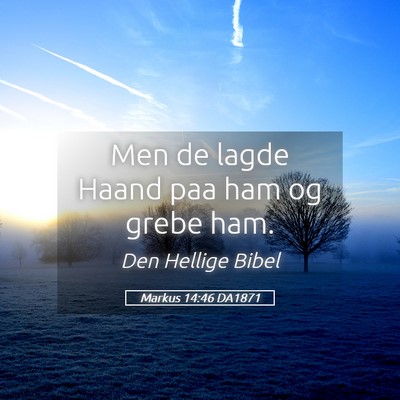Picture 05 - Markus 14:46 DA1871 - Men de lagde Haand paa ham og grebe - Bible Verse Picture