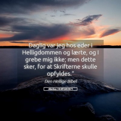 Picture 05 - Markus 14:49 DA1871 - Daglig var jeg hos eder i Helligdommen og lærte, - Bible Verse Picture