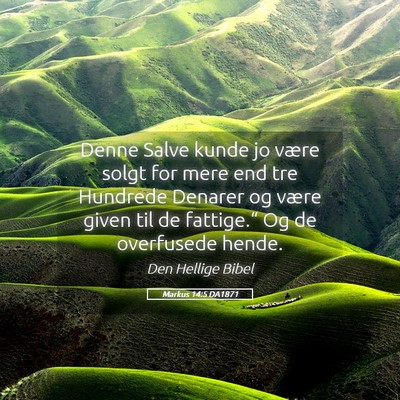 Picture 05 - Markus 14:5 DA1871 - Denne Salve kunde jo være solgt for mere end tre - Bible Verse Picture