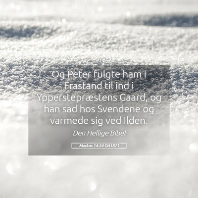 Picture 05 - Markus 14:54 DA1871 - Og Peter fulgte ham i Frastand til ind i - Bible Verse Picture