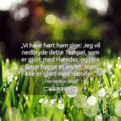 Picture 05 - Markus 14:58 DA1871 - „Vi have hørt ham sige: Jeg vil nedbryde dette - Bible Verse Picture