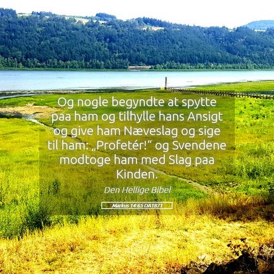 Picture 05 - Markus 14:65 DA1871 - Og nogle begyndte at spytte paa ham og tilhylle - Bible Verse Picture