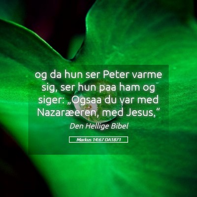Picture 05 - Markus 14:67 DA1871 - og da hun ser Peter varme sig, ser hun paa ham og - Bible Verse Picture