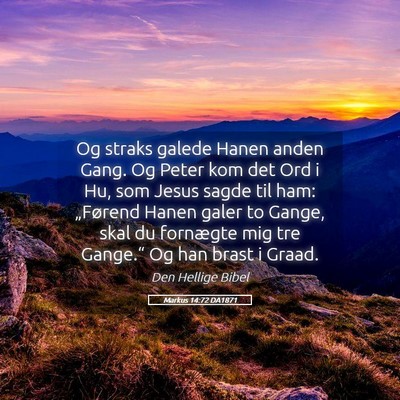 Picture 05 - Markus 14:72 DA1871 - Og straks galede Hanen anden Gang. Og Peter kom - Bible Verse Picture