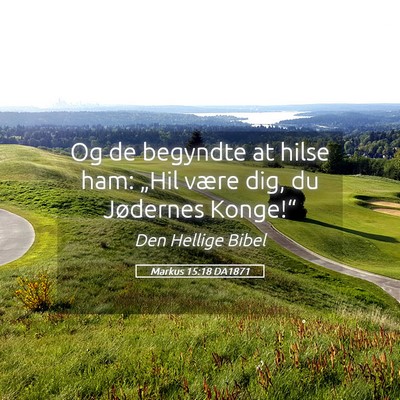 Picture 05 - Markus 15:18 DA1871 - Og de begyndte at hilse ham: „Hil være dig, du - Bible Verse Picture