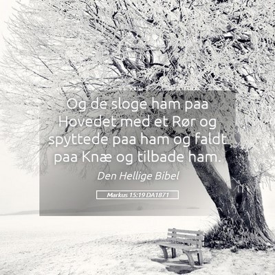 Picture 05 - Markus 15:19 DA1871 - Og de sloge ham paa Hovedet med et Rør og - Bible Verse Picture