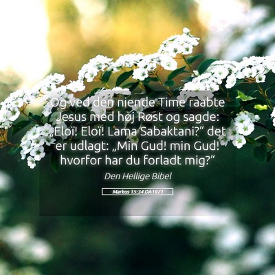 Picture 05 - Markus 15:34 DA1871 - Og ved den niende Time raabte Jesus med høj - Bible Verse Picture