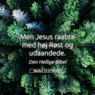 Picture 05 - Markus 15:37 DA1871 - Men Jesus raabte med høj Røst og - Bible Verse Picture