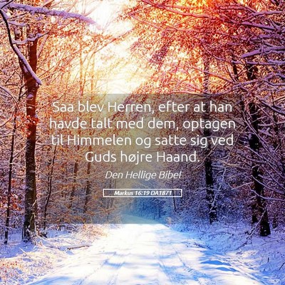 Picture 05 - Markus 16:19 DA1871 - Saa blev Herren, efter at han havde talt med dem, - Bible Verse Picture