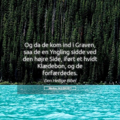 Picture 05 - Markus 16:5 DA1871 - Og da de kom ind i Graven, saa de en Yngling - Bible Verse Picture