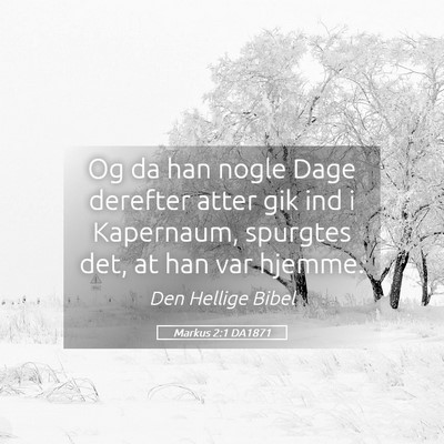 Picture 05 - Markus 2:1 DA1871 - Og da han nogle Dage derefter atter gik ind i - Bible Verse Picture