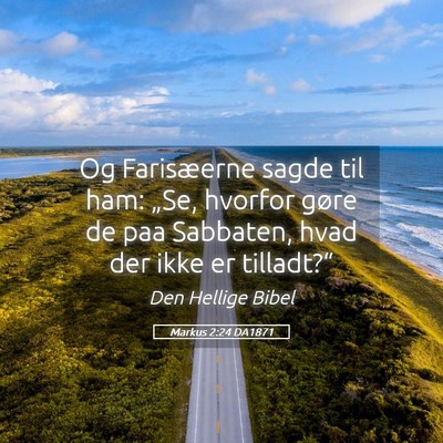 Picture 05 - Markus 2:24 DA1871 - Og Farisæerne sagde til ham: „Se, hvorfor - Bible Verse Picture