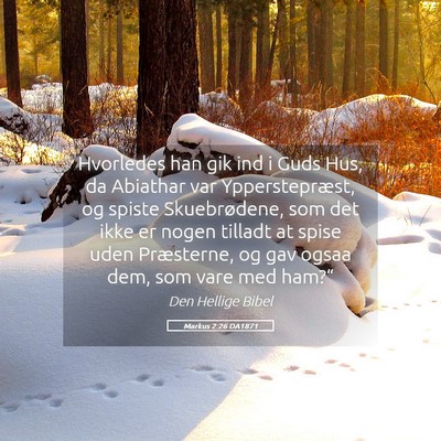 Picture 05 - Markus 2:26 DA1871 - Hvorledes han gik ind i Guds Hus, da Abiathar var - Bible Verse Picture