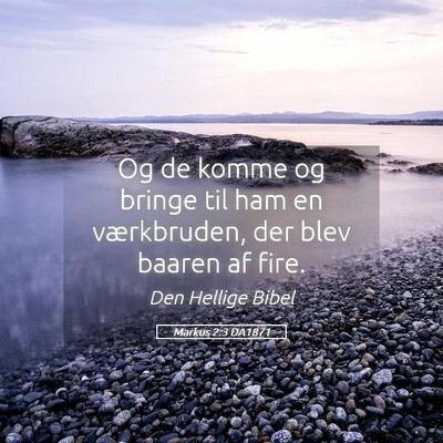 Picture 05 - Markus 2:3 DA1871 - Og de komme og bringe til ham en værkbruden, der - Bible Verse Picture
