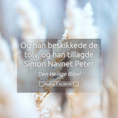 Picture 05 - Markus 3:16 DA1871 - Og han beskikkede de tolv, og han tillagde Simon - Bible Verse Picture