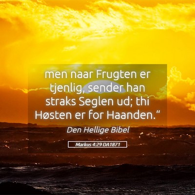 Picture 05 - Markus 4:29 DA1871 - men naar Frugten er tjenlig, sender han straks - Bible Verse Picture