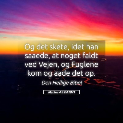 Picture 05 - Markus 4:4 DA1871 - Og det skete, idet han saaede, at noget faldt ved - Bible Verse Picture