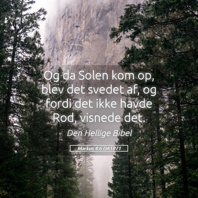 Picture 05 - Markus 4:6 DA1871 - Og da Solen kom op, blev det svedet af, og fordi - Bible Verse Picture