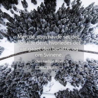 Picture 05 - Markus 5:16 DA1871 - Men de, som havde set det, fortalte dem, - Bible Verse Picture