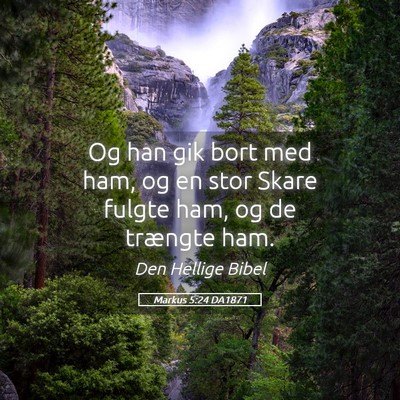 Picture 05 - Markus 5:24 DA1871 - Og han gik bort med ham, og en stor Skare fulgte - Bible Verse Picture