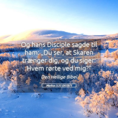 Picture 05 - Markus 5:31 DA1871 - Og hans Disciple sagde til ham: „Du ser, at - Bible Verse Picture