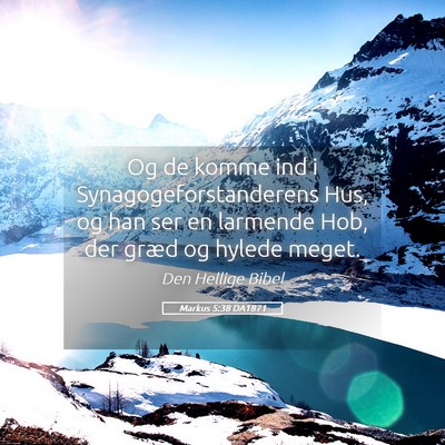 Picture 05 - Markus 5:38 DA1871 - Og de komme ind i Synagogeforstanderens Hus, og - Bible Verse Picture