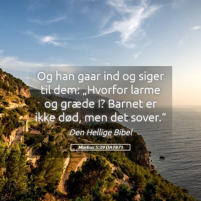 Picture 05 - Markus 5:39 DA1871 - Og han gaar ind og siger til dem: „Hvorfor - Bible Verse Picture