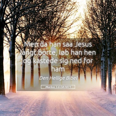 Picture 05 - Markus 5:6 DA1871 - Men da han saa Jesus langt borte, løb han hen og - Bible Verse Picture