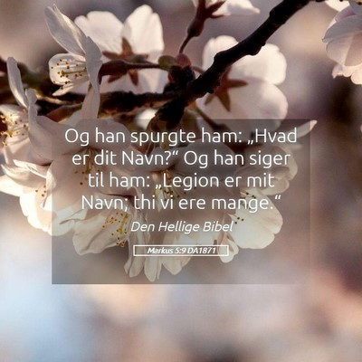 Picture 05 - Markus 5:9 DA1871 - Og han spurgte ham: „Hvad er dit Navn?“ Og - Bible Verse Picture