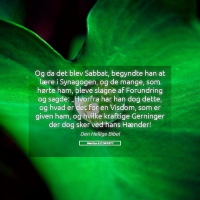 Picture 05 - Markus 6:2 DA1871 - Og da det blev Sabbat, begyndte han at lære i - Bible Verse Picture