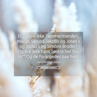 Picture 05 - Markus 6:3 DA1871 - Er denne ikke Tømmermanden, Marias Søn og - Bible Verse Picture