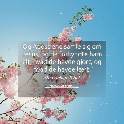 Picture 05 - Markus 6:30 DA1871 - Og Apostlene samle sig om Jesus, og de forkyndte - Bible Verse Picture