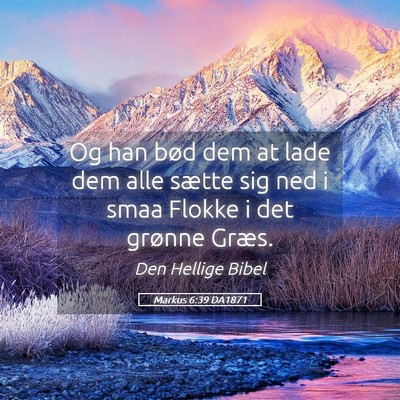 Picture 05 - Markus 6:39 DA1871 - Og han bød dem at lade dem alle sætte sig ned i - Bible Verse Picture