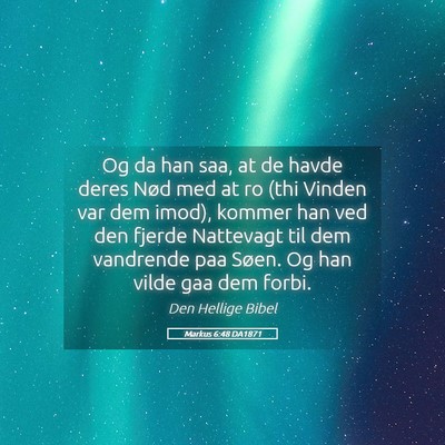 Picture 05 - Markus 6:48 DA1871 - Og da han saa, at de havde deres Nød med at ro - Bible Verse Picture