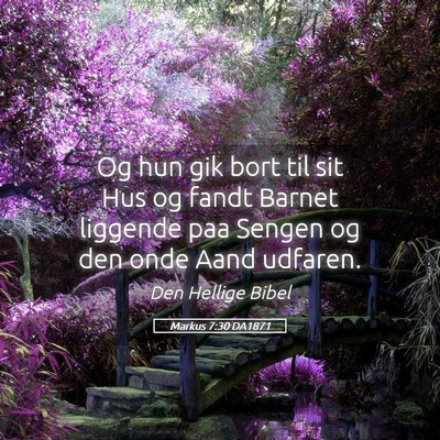 Picture 05 - Markus 7:30 DA1871 - Og hun gik bort til sit Hus og fandt Barnet - Bible Verse Picture