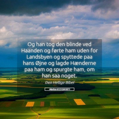 Picture 05 - Markus 8:23 DA1871 - Og han tog den blinde ved Haanden og førte ham - Bible Verse Picture