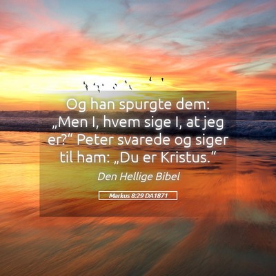 Picture 05 - Markus 8:29 DA1871 - Og han spurgte dem: „Men I, hvem sige I, at jeg - Bible Verse Picture