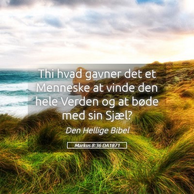 Picture 05 - Markus 8:36 DA1871 - Thi hvad gavner det et Menneske at vinde den hele - Bible Verse Picture