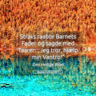 Picture 05 - Markus 9:24 DA1871 - Straks raabte Barnets Fader og sagde med Taarer: - Bible Verse Picture