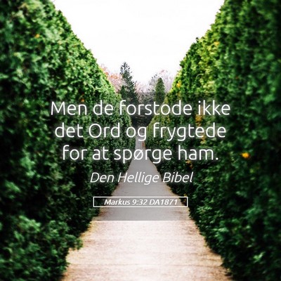 Picture 05 - Markus 9:32 DA1871 - Men de forstode ikke det Ord og frygtede for at - Bible Verse Picture