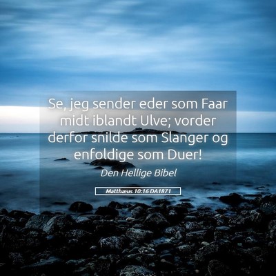Picture 05 - Matthæus 10:16 DA1871 - Se, jeg sender eder som Faar midt iblandt Ulve; - Bible Verse Picture